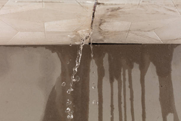 Professional Burst Pipe Cleanup technician working in Cosmos, MN